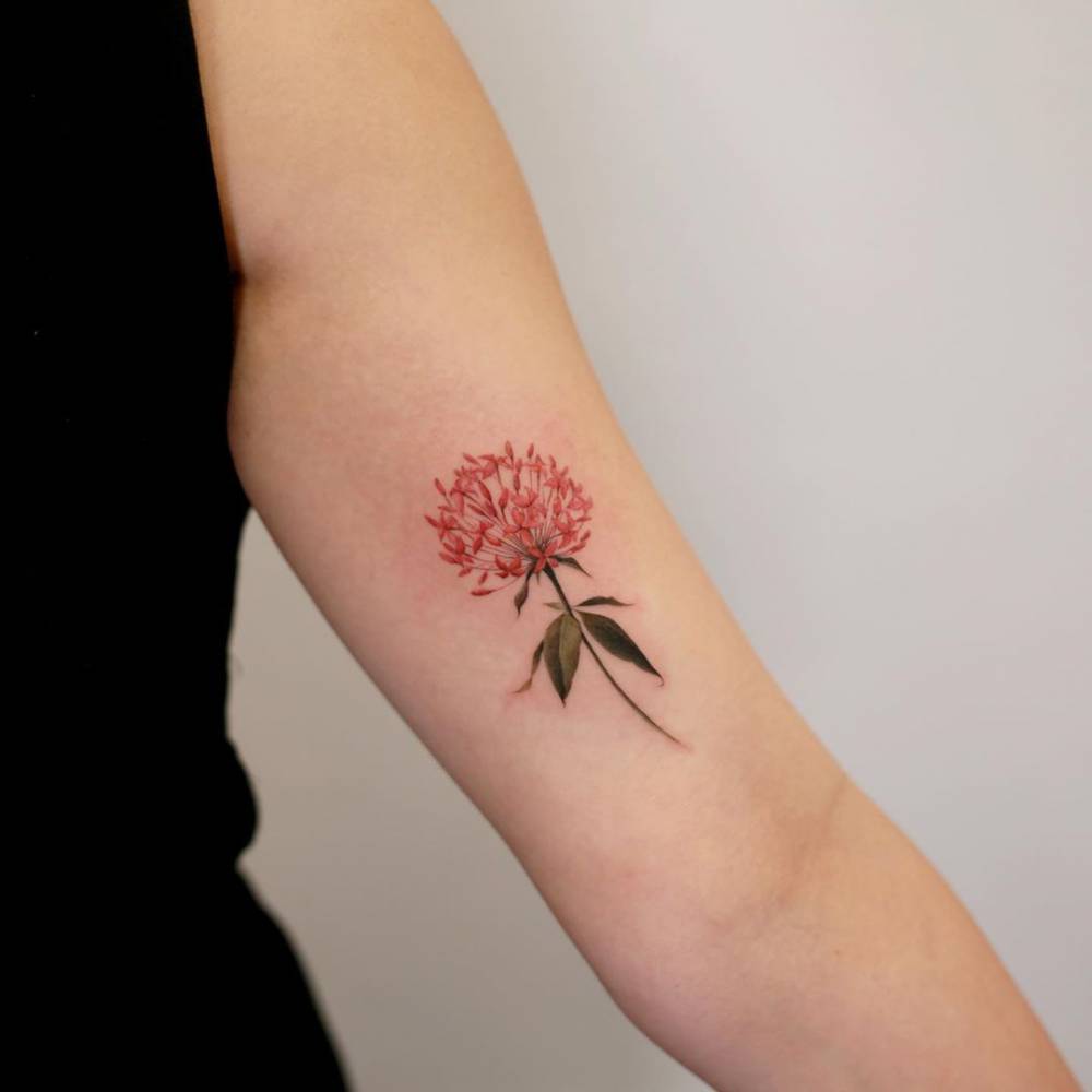 Red Ixora flower tattoo located on the inner arm.