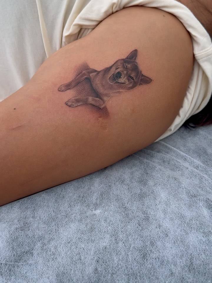 Shiba Inu tattoo in micro-realistic style located on the upper arm.