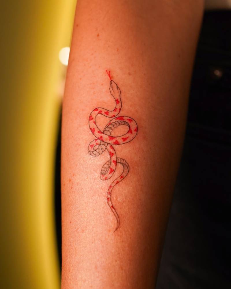Heart snake tattoo located on the forearm, illustrative style.