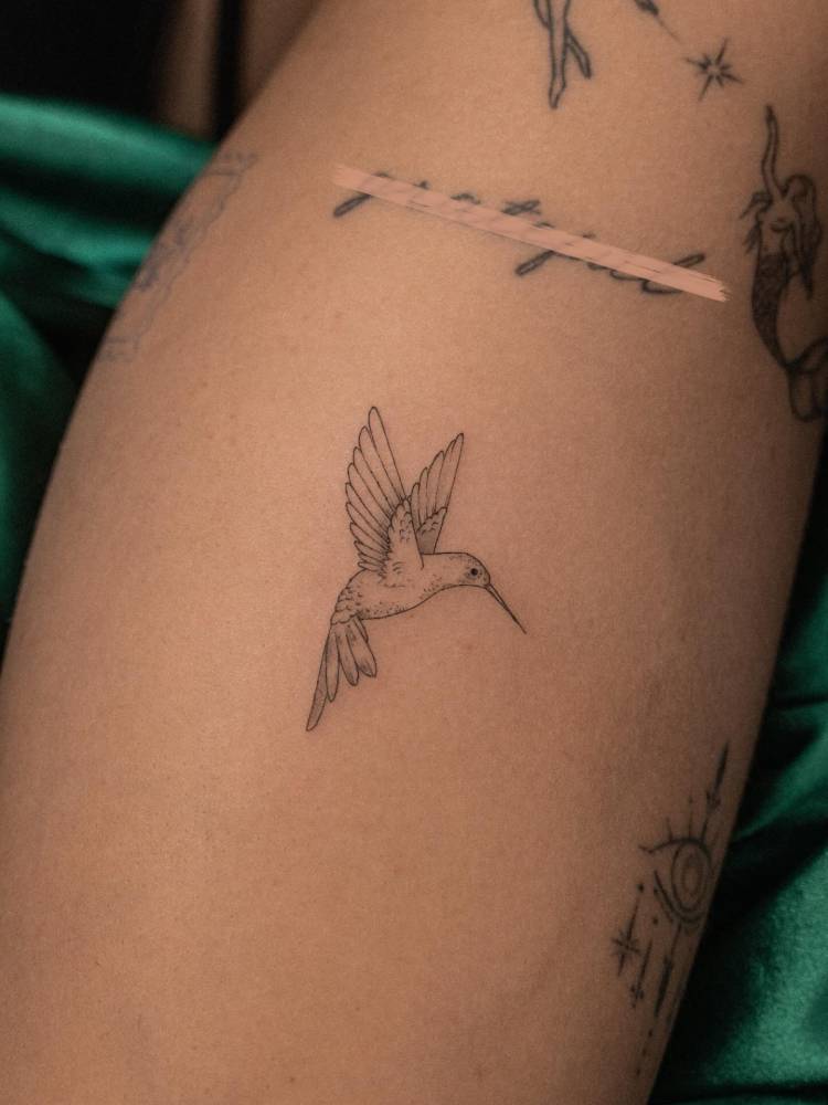 Hummingbird tattoo in illustrative style done on the calf.