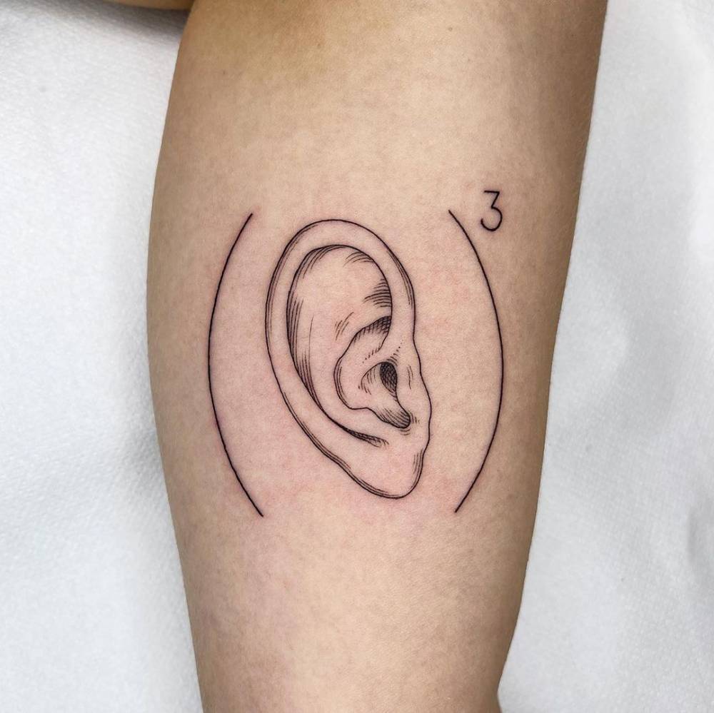 Ear's scientific illustration tattoo on the inner arm