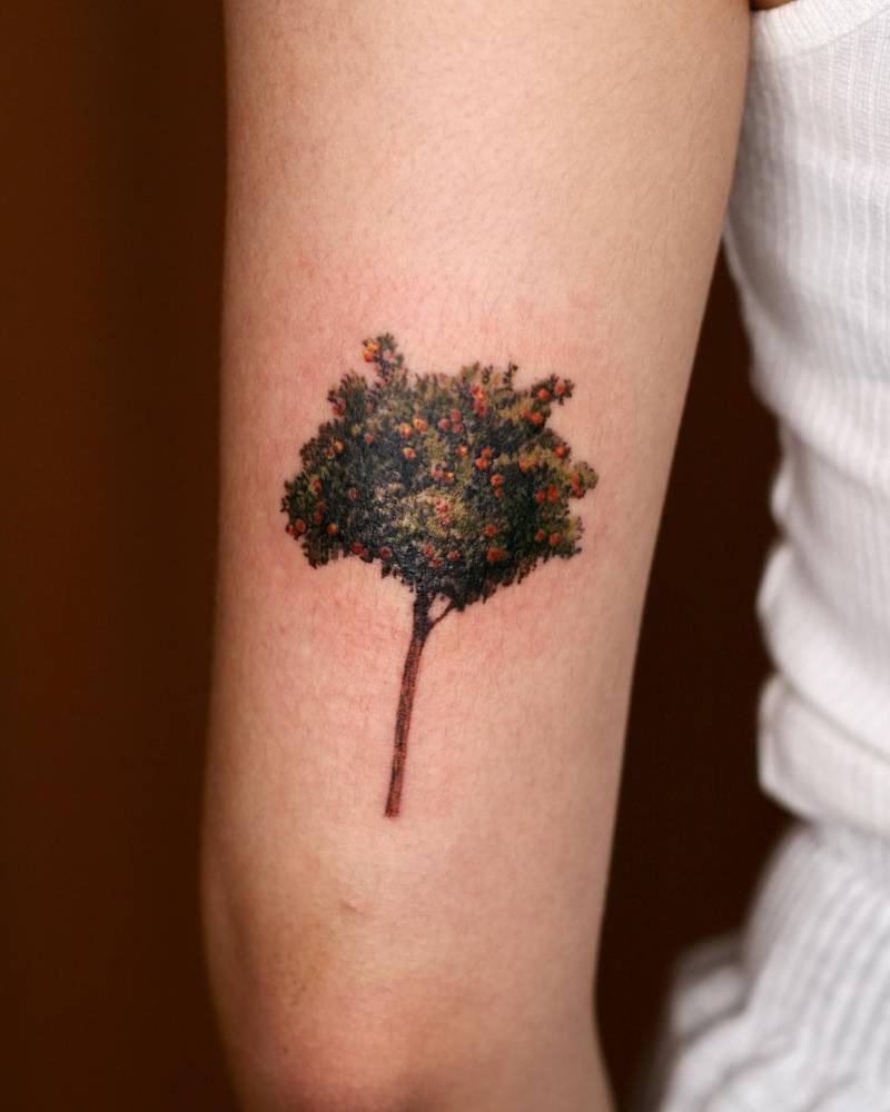Orange tree tattoo located on the tricep.