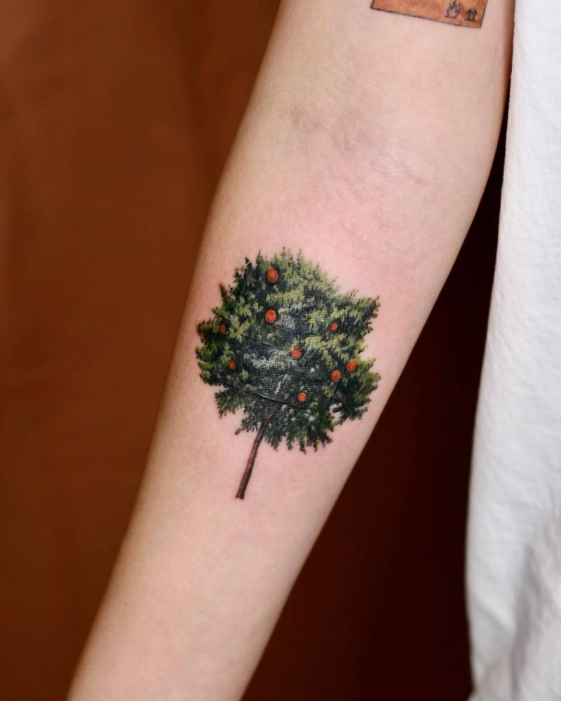Watercolor style orange tree tattoo located on the inner forearm.