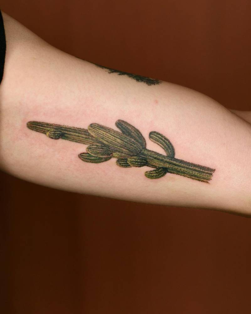Saguaro tattoo in watercolor style, located on the inner arm.