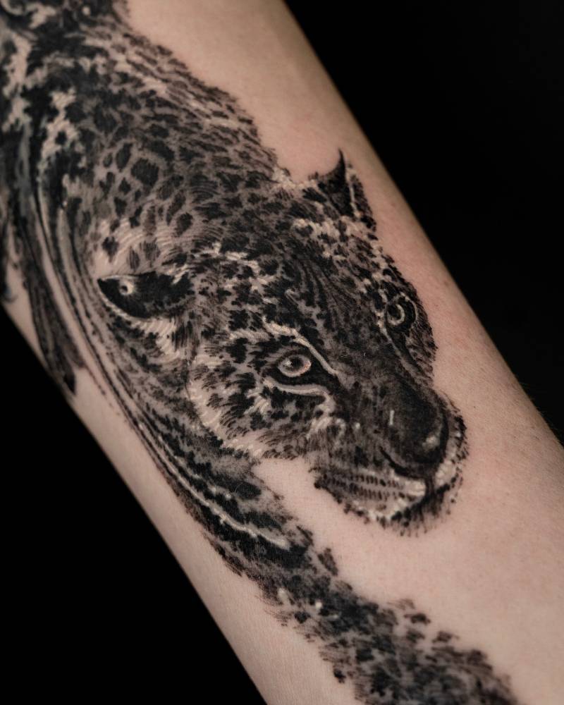 Jaguar tattoo in blackwork style located on the inner forearm.