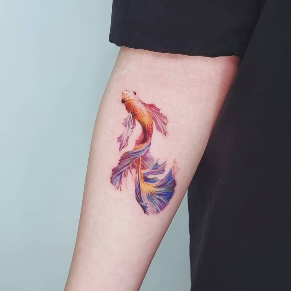 Betta fish tattoo in realistic style located on the inner forearm.