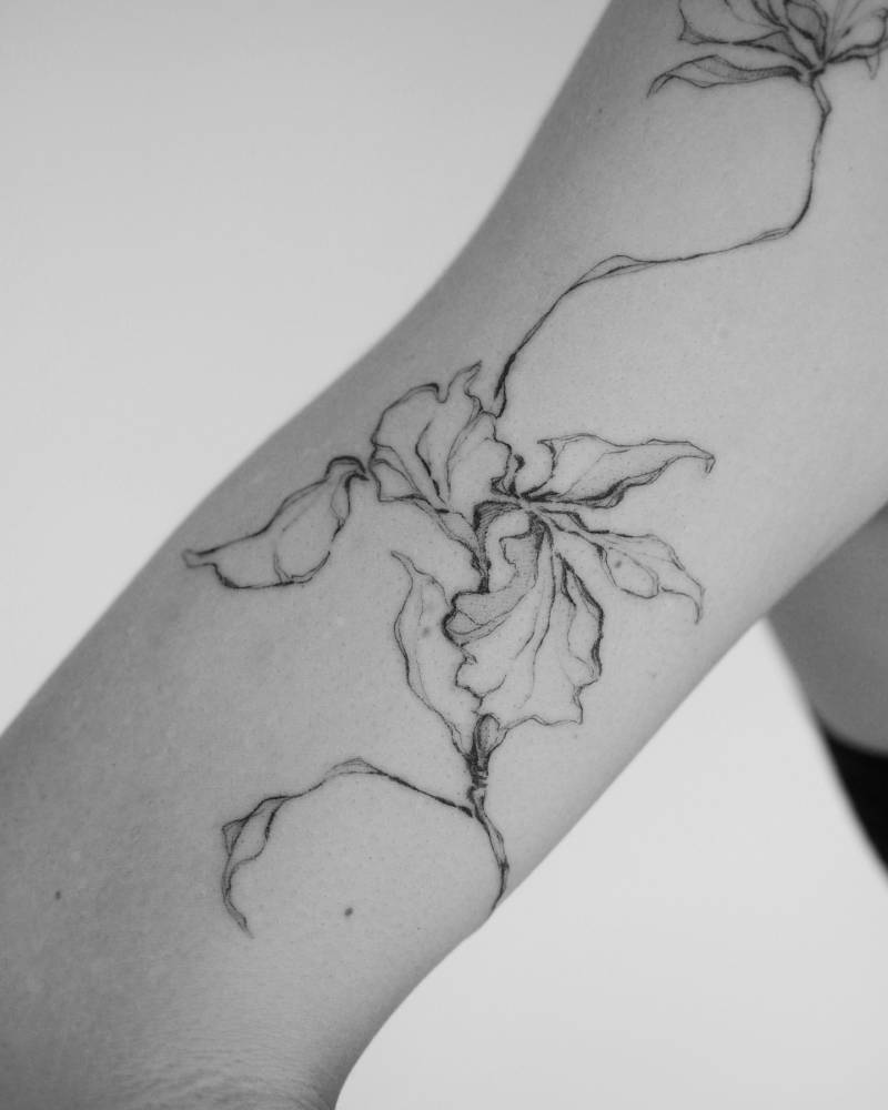 Illustrative style iris flower tattoo placed on the upper arm.