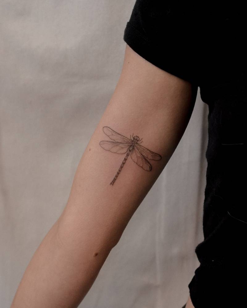 Illustrative style dragonfly tattoo done on the inner arm.
