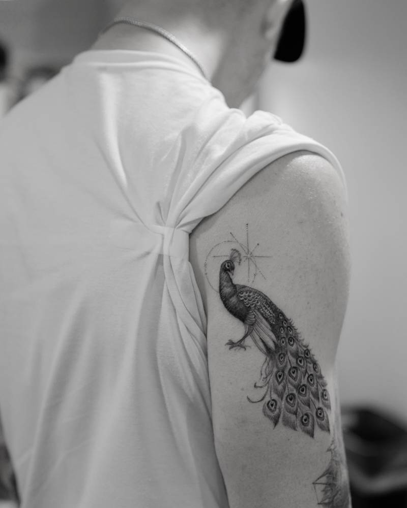 Micro-realistic style peacock tattoo located on the tricep.