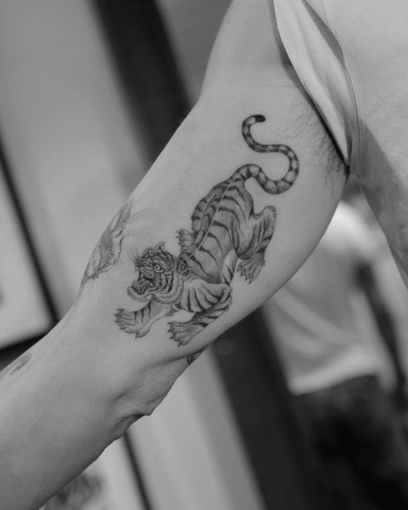 Japanese style tiger tattoo located on the inner arm.