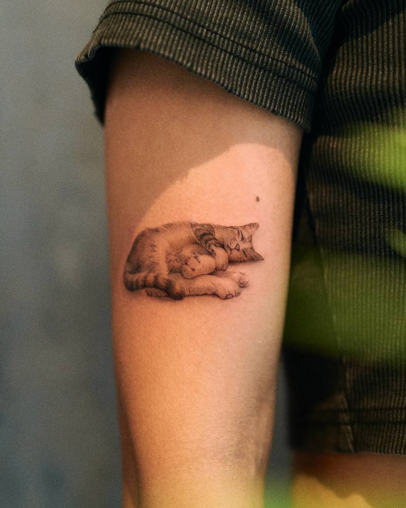 Illustrative style sleeping cat tattoo located on the upper arm.