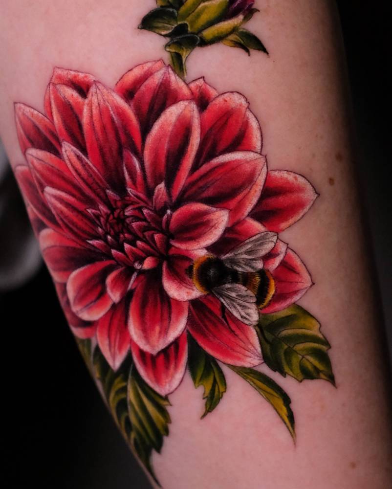Dahlia tattoo in realistic style located on the inner forearm.