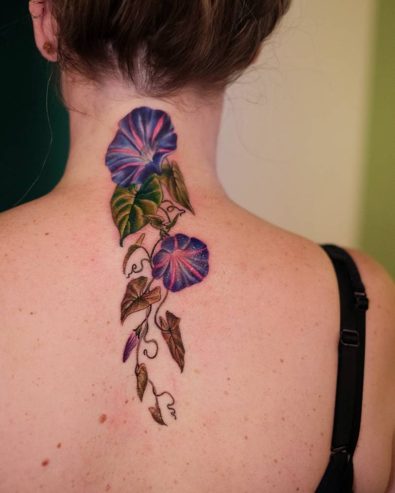 Realistic style morning glory tattoo located on the upper back.