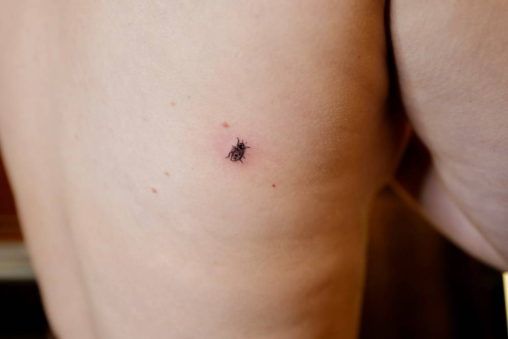 Tiny ladybug tattoo located on the back.