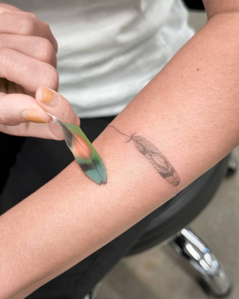 Illustrative style feather tattoo located on the forearm.