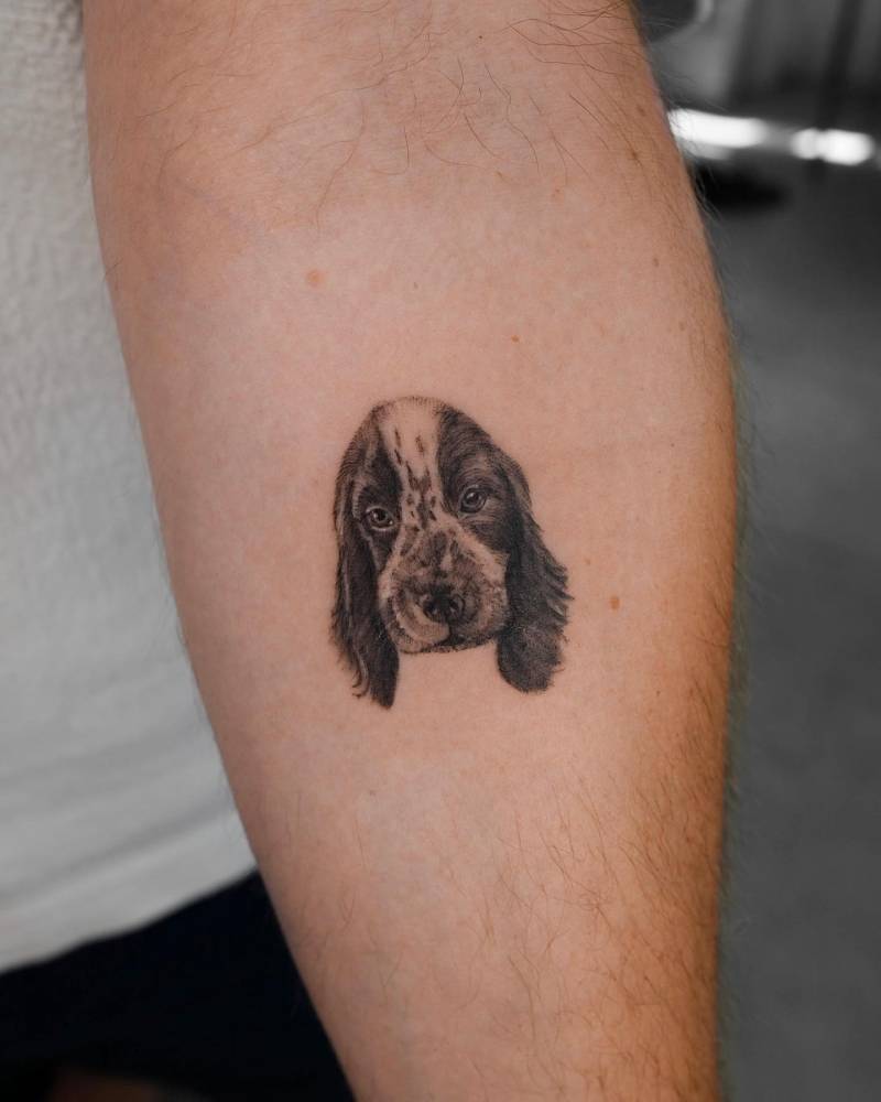 Micro-realistic style Cocker Spaniel portrait tattoo located on the inner forearm.
