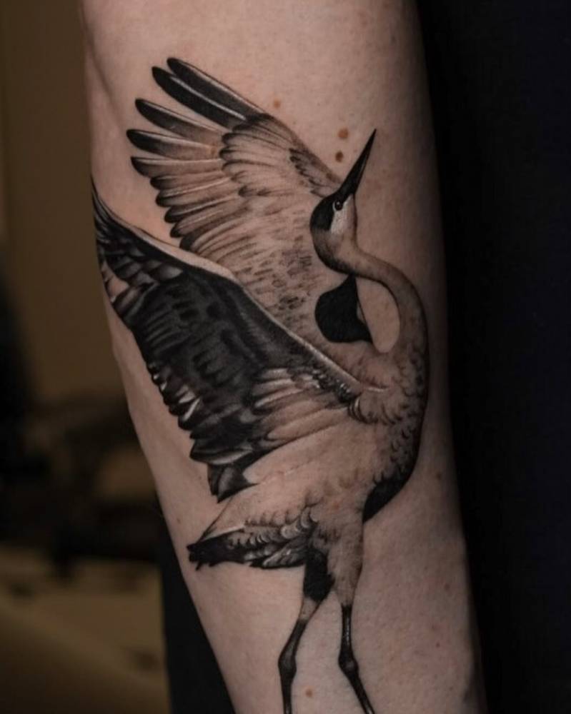 Black and grey crane tattoo located on the forearm.