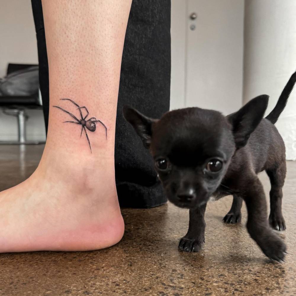 Illustrative style spider tattoo placed on the ankle.