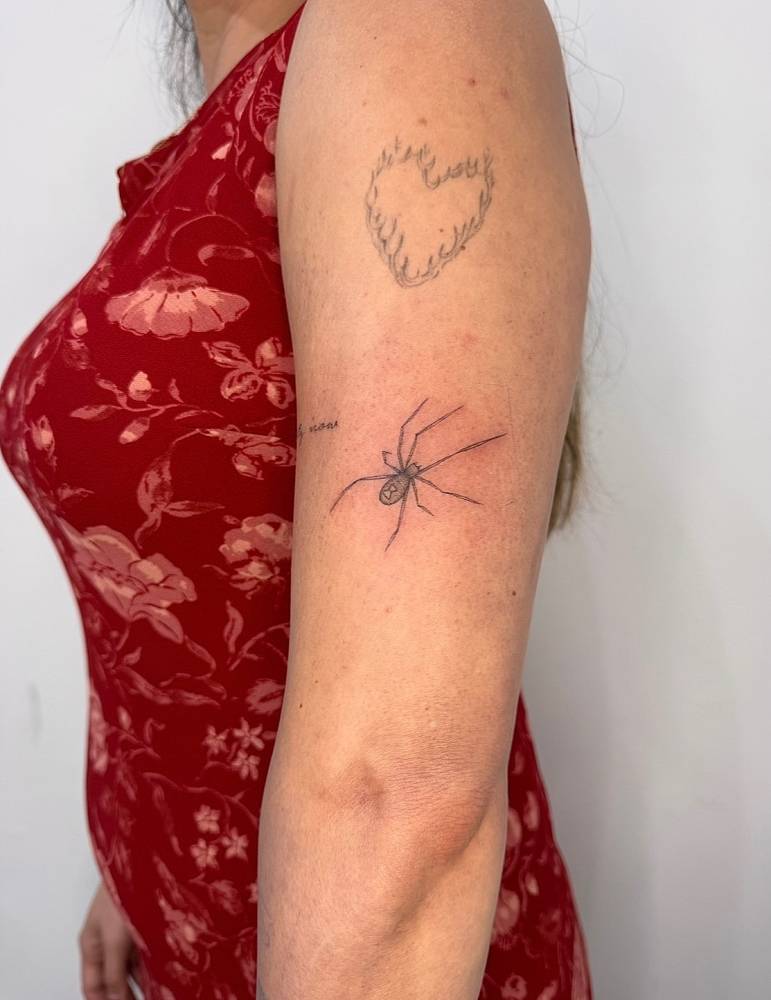 Single needle spider tattoo in illustrative style placed on the upper arm.