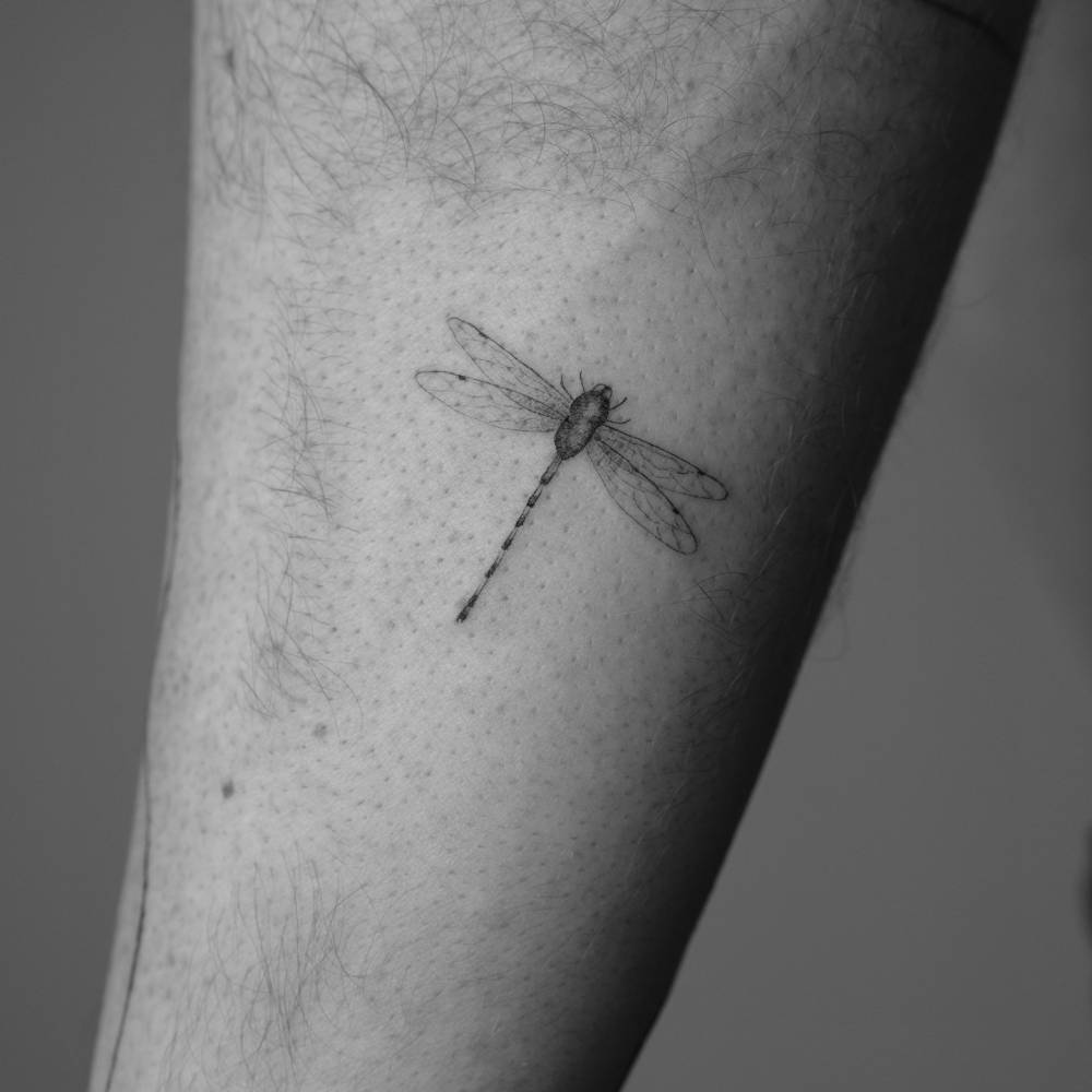 Illustrative style dragonfly tattoo located on the inner forearm.