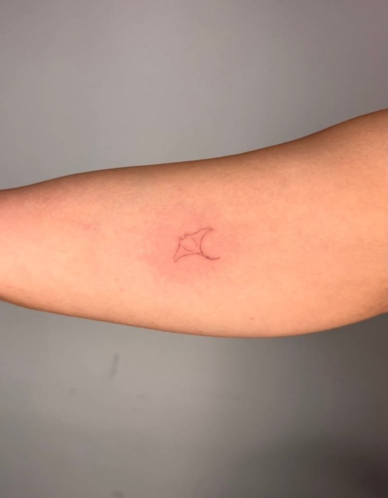 Tiny manta ray tattoo in fine line style located on the inner arm.