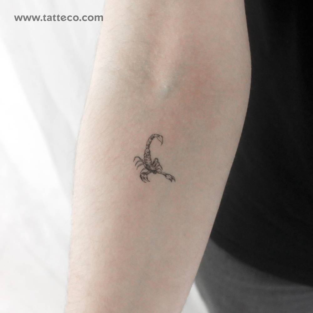 Scorpion Temporary Tattoo