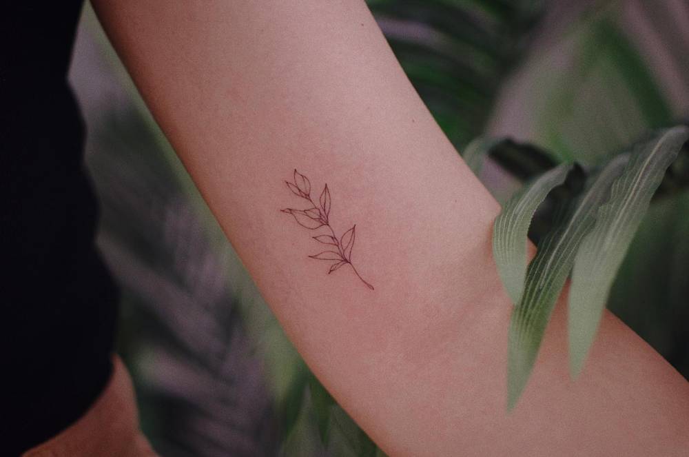 Little sprig tattoo in fine line style done on the inner arm.