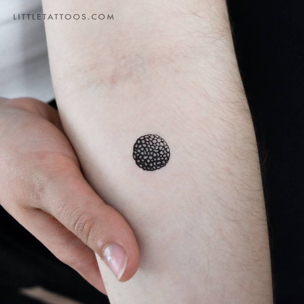Truffle temporary tattoo located on the inner forearm.