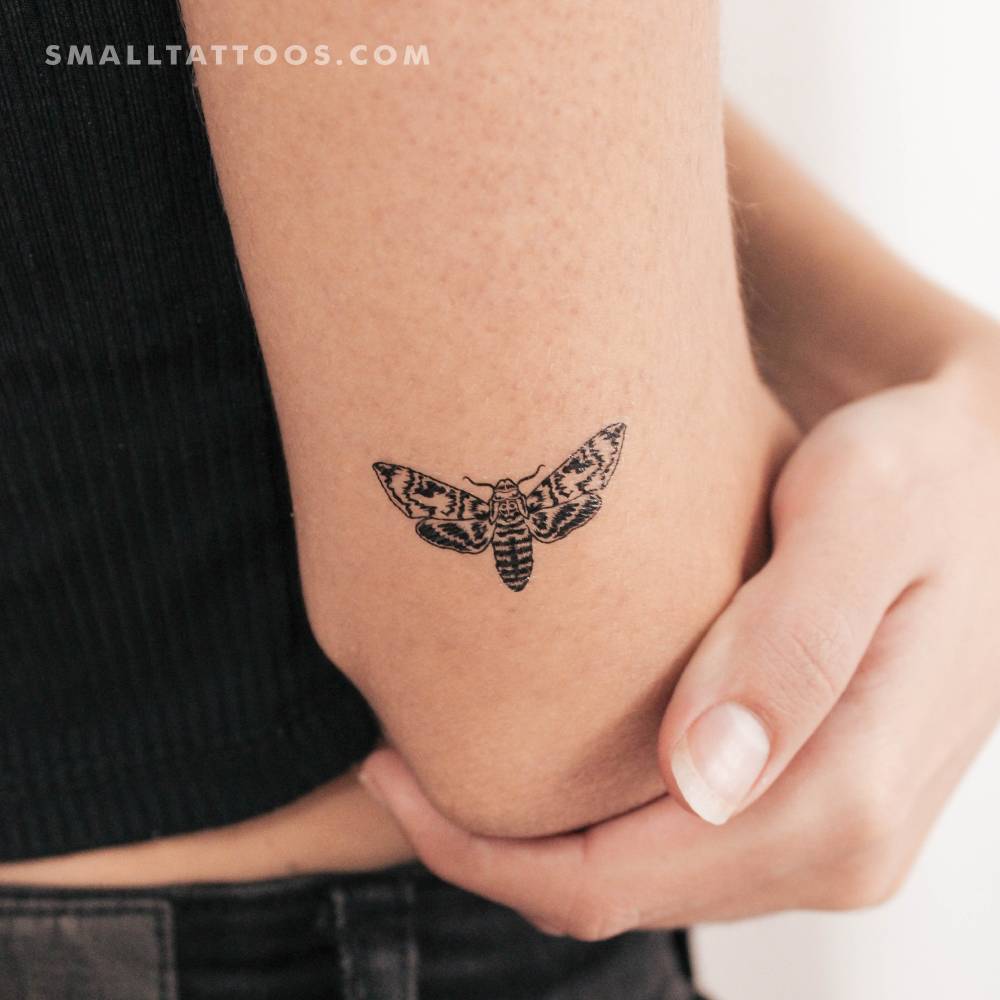 Moth Temporary Tattoo