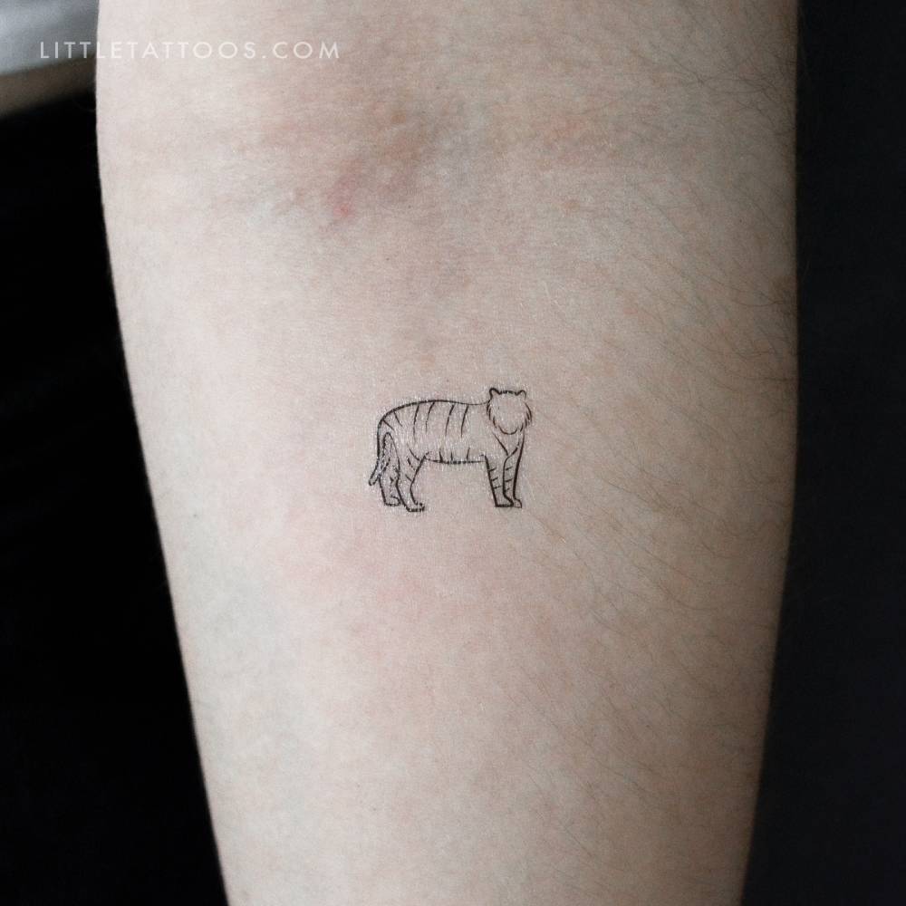 Minimalist tiger temporary tattoo located on the inner forearm.