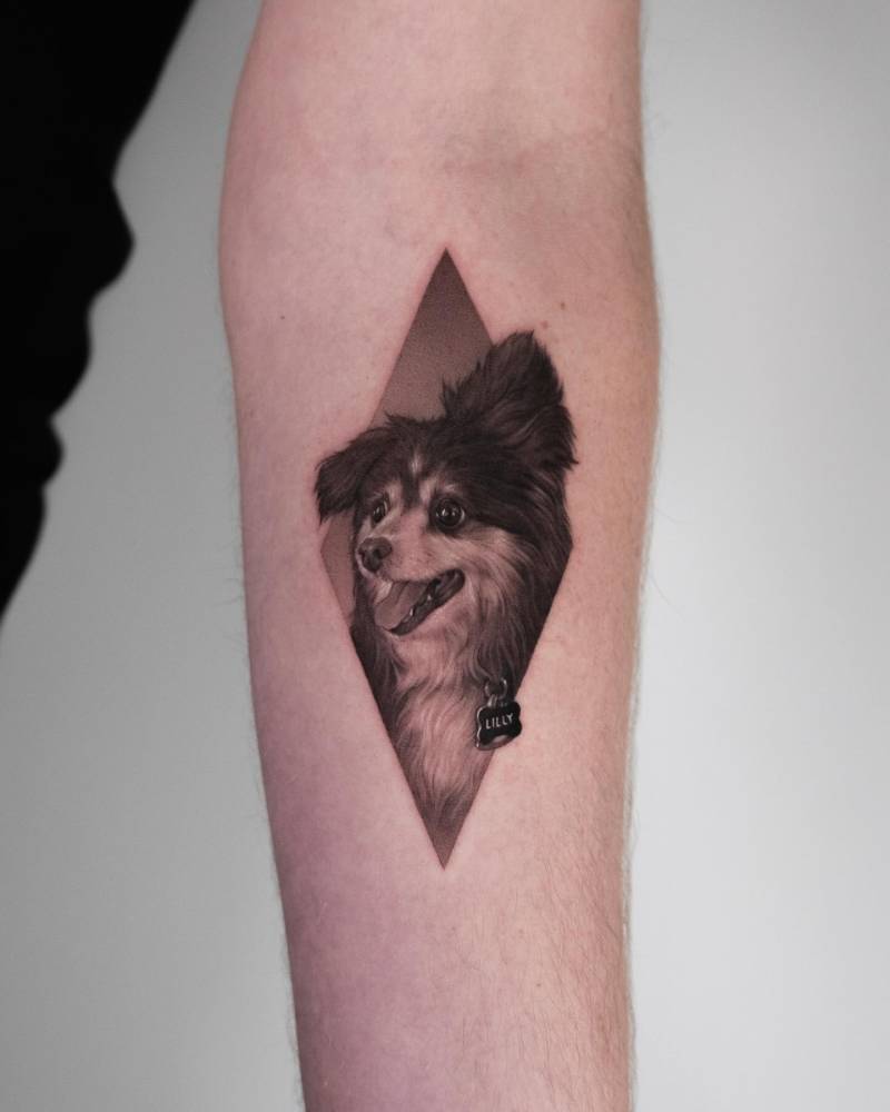 Papillon portrait tattoo in micro-realism located on the inner forearm.