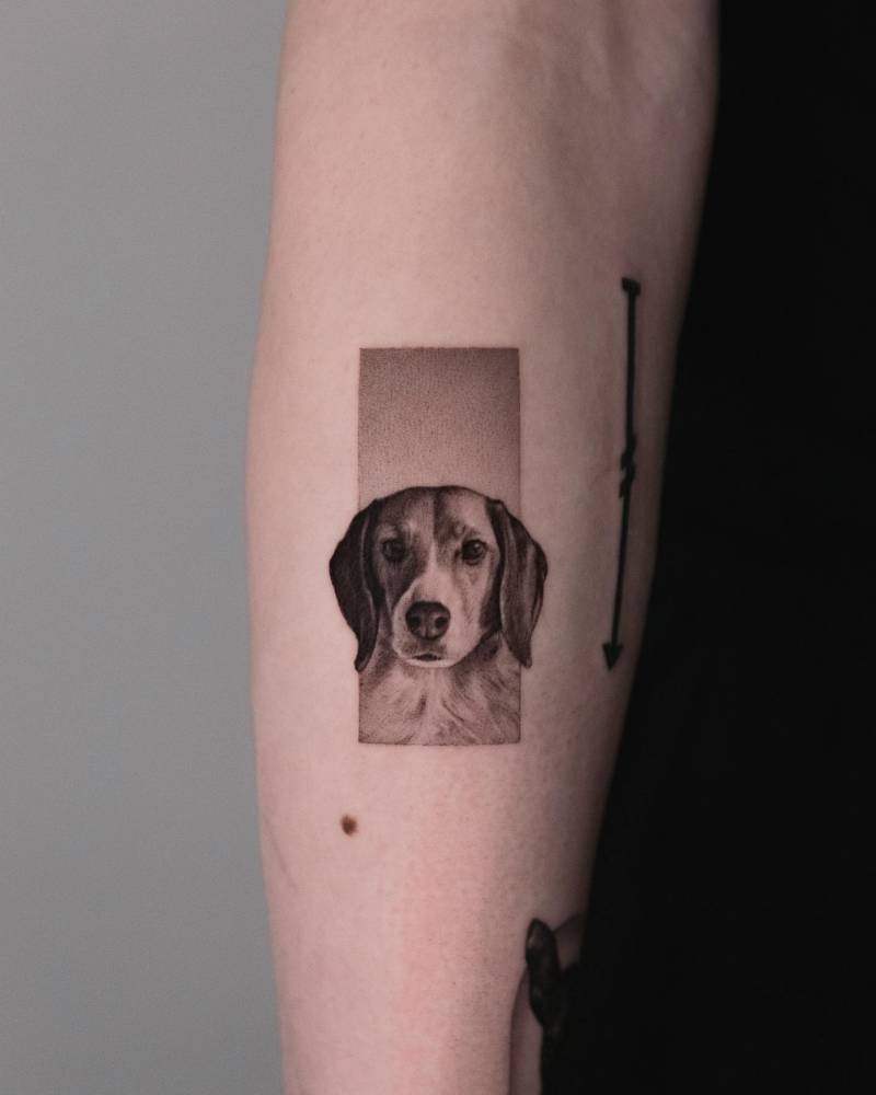 Beagle portrait tattooed on the forearm, done in micro-realism.