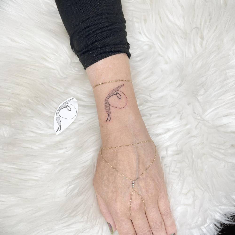 Fine line snail tattoo located on the wrist.