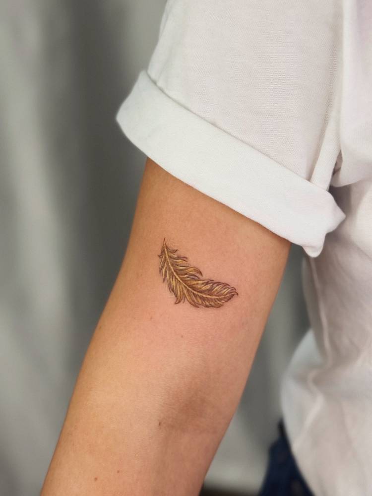 Feather tattoo in illustrative style located on the upper arm.