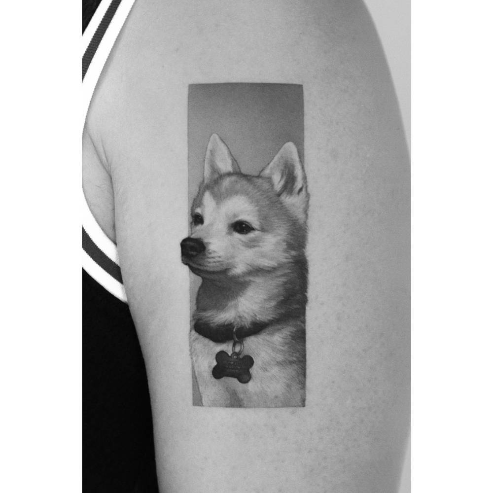 Micro-realistic style Shiba Inu portrait tattoo located on the upper arm.
