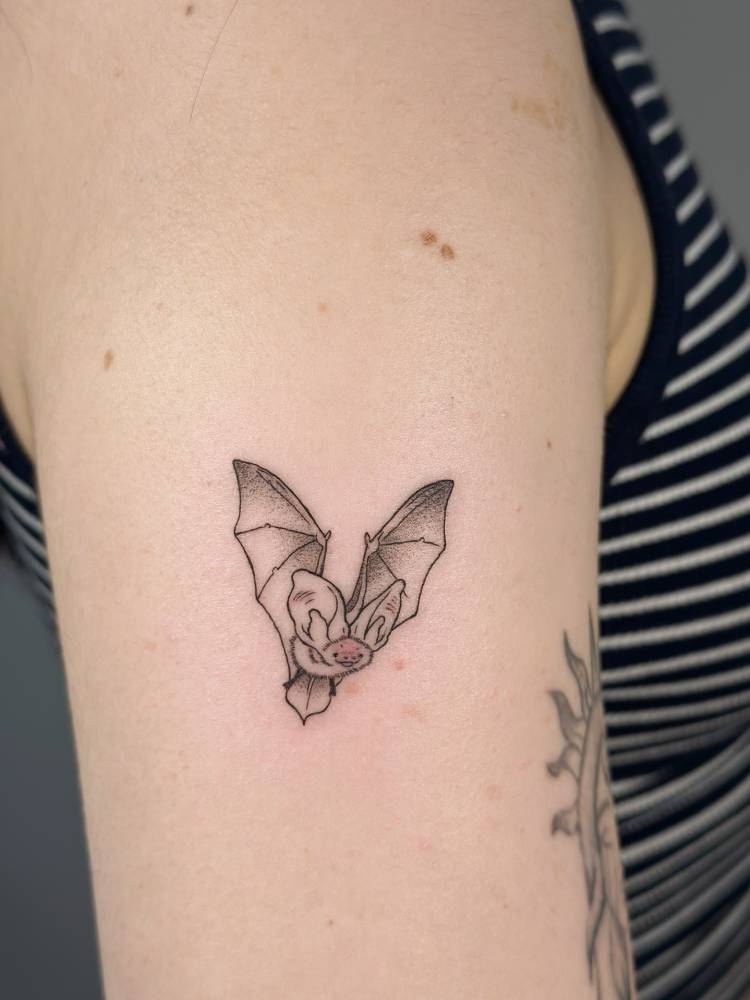 Bat tattoo done in illustrative style, located on the upper arm.