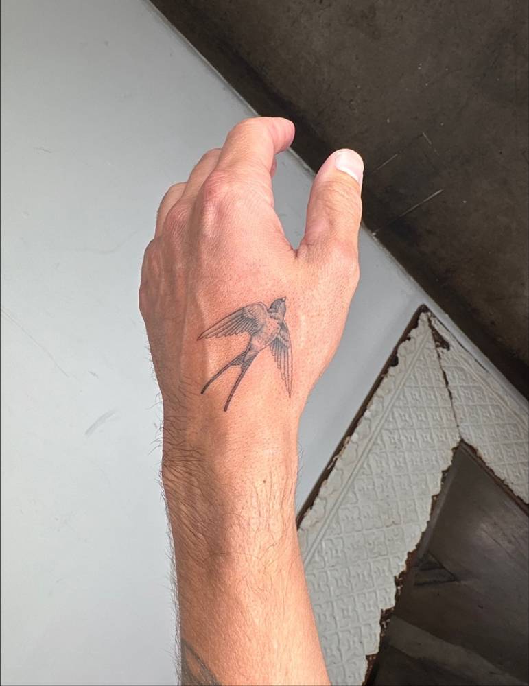 Illustrative style healed swallow tattoo located on the hand.