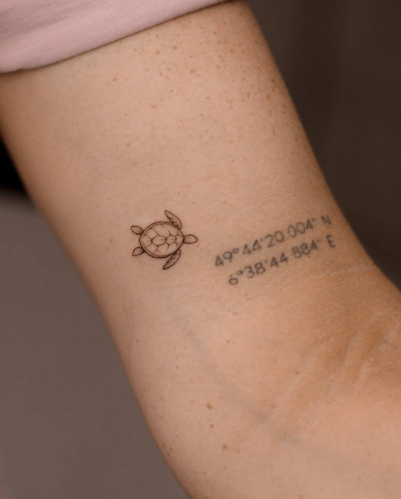 Tiny turtle tattoo located on the inner arm, illustrative style.