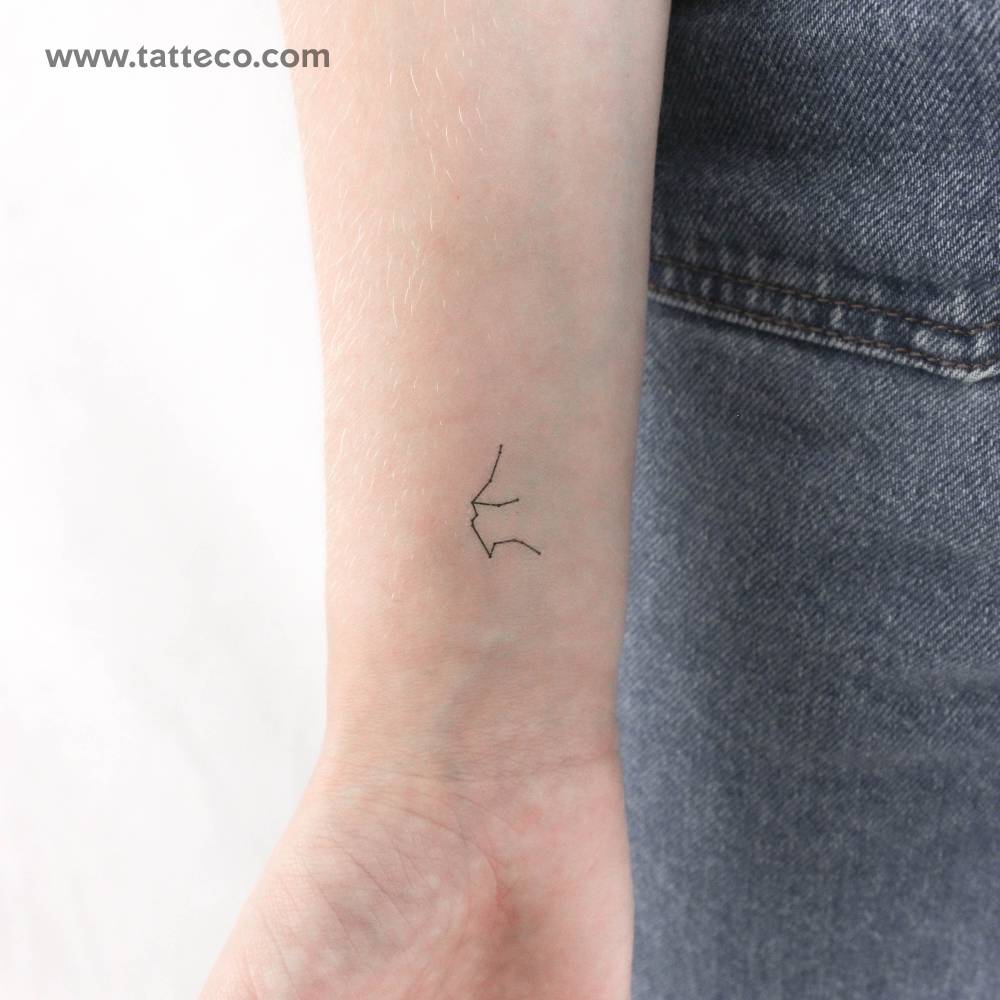 Tiny minimalistic Aquarius constellation temporary tattoo.