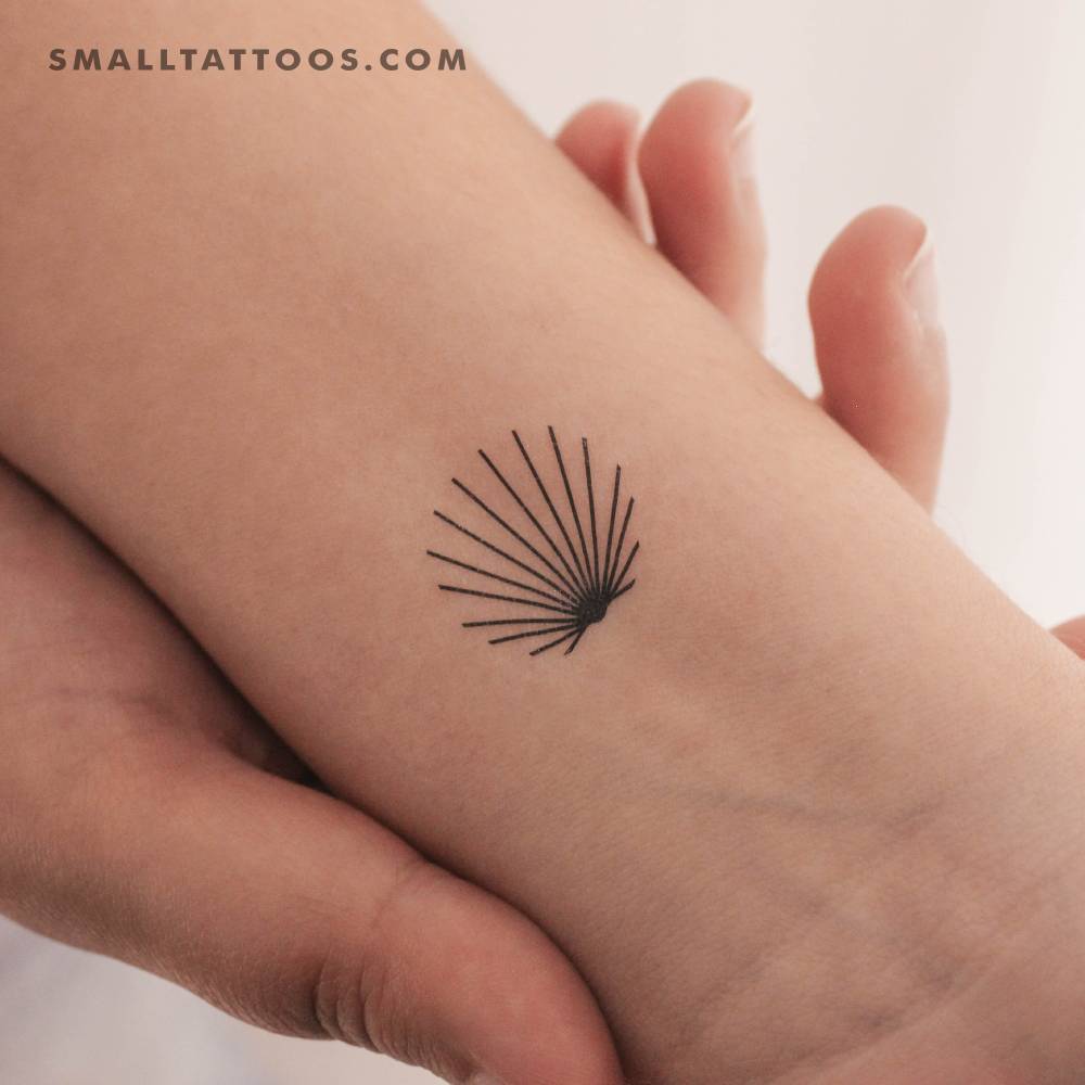 Minimalist Shell Temporary Tattoo