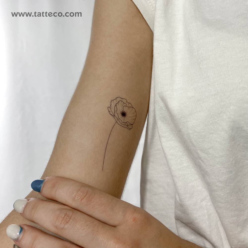 Fine Line Poppy Temporary Tattoo