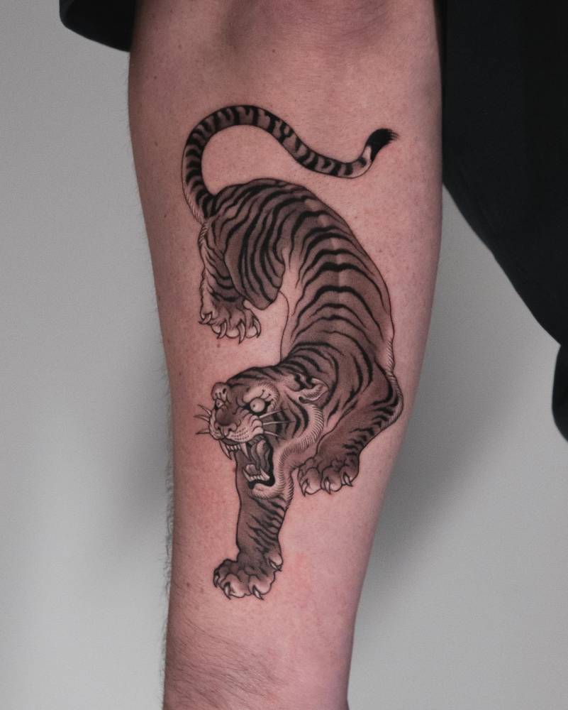 Tiger tattoo in oriental style located on the forearm.