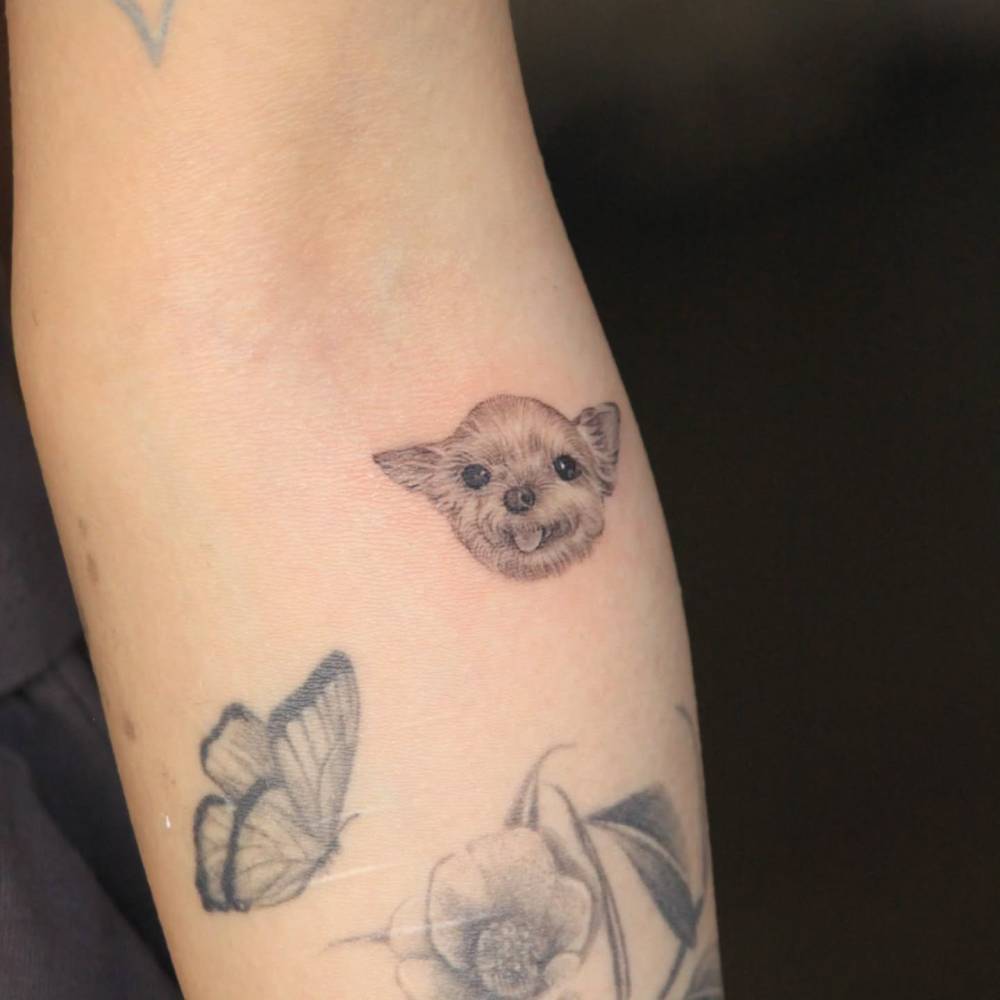 Chihuahua portrait tattoo in micro-realistic style done on the inner forearm.