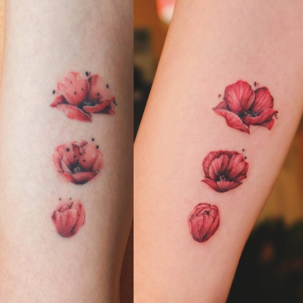Blooming poppy touch up tattoo located on the inner arm.