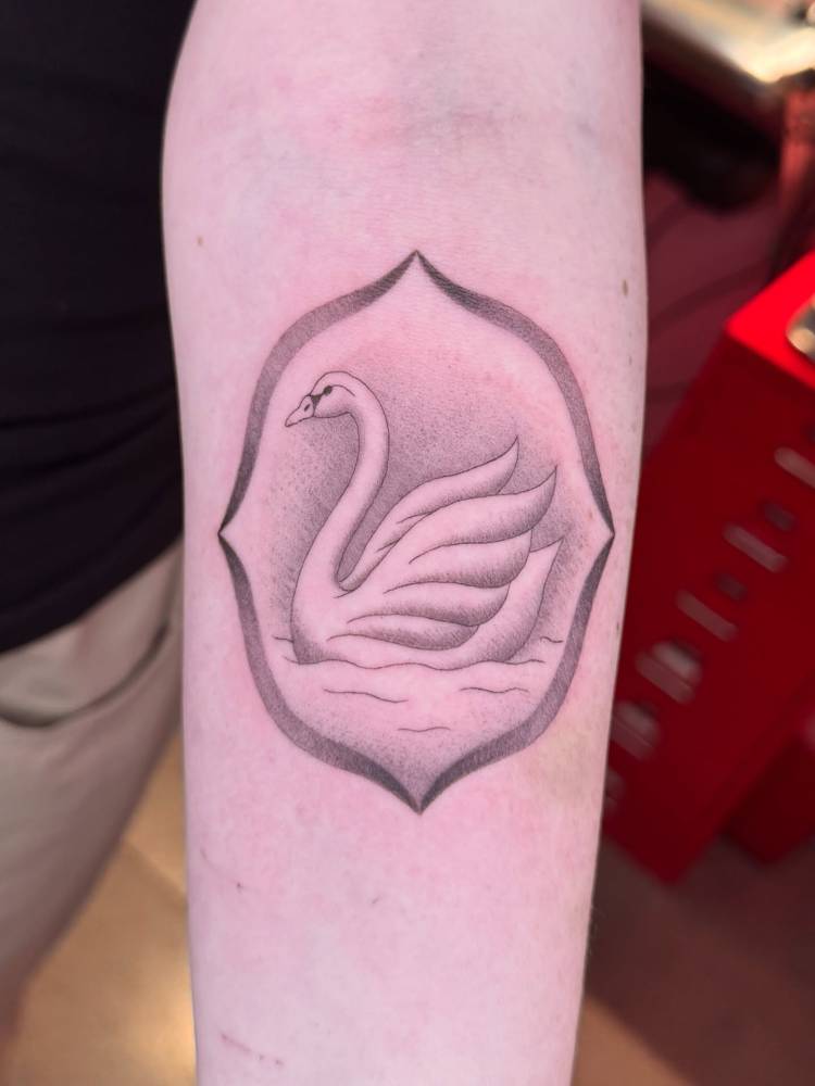 Swan tattoo in illustrative style located on the inner forearm.