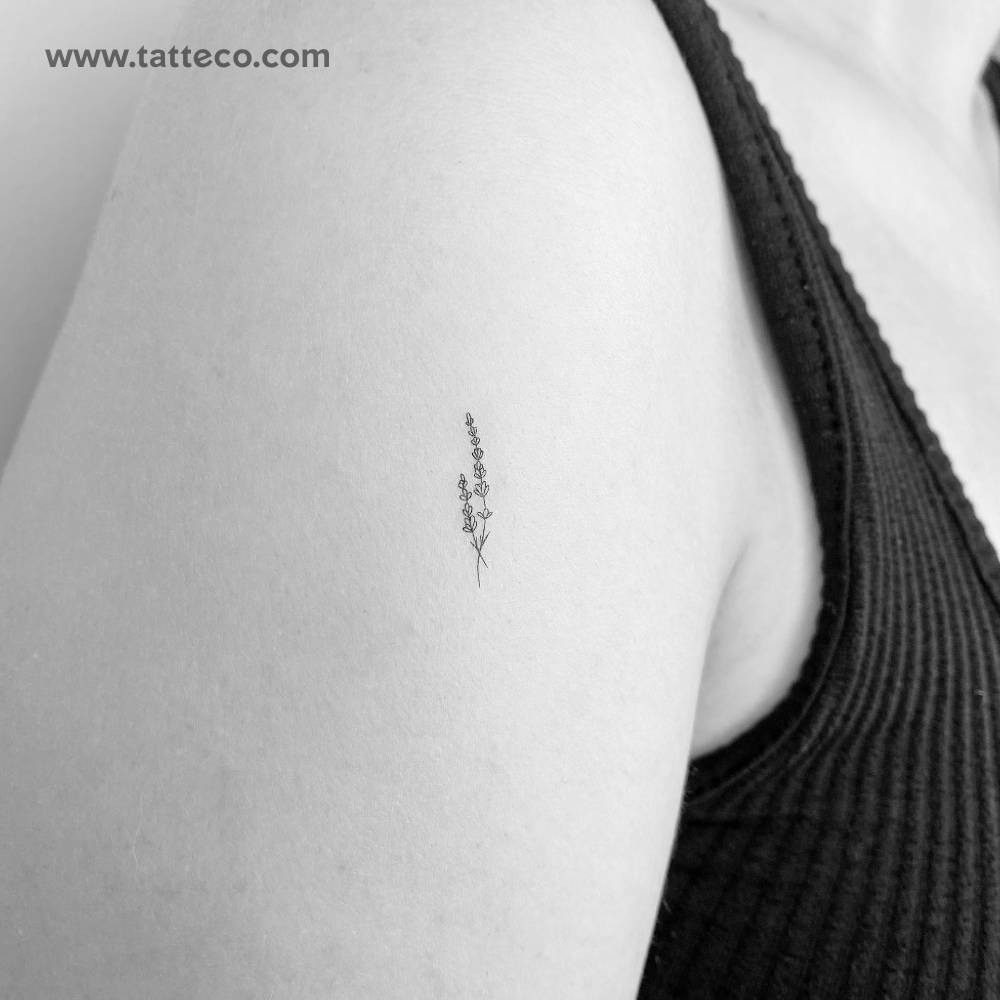 Small fine line lavender temporary tattoo located on the upper arm.