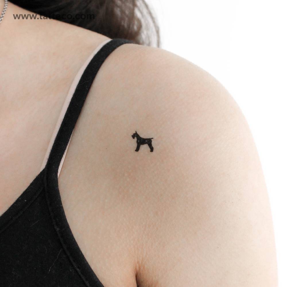 Small Schnauzer Temporary Tattoo