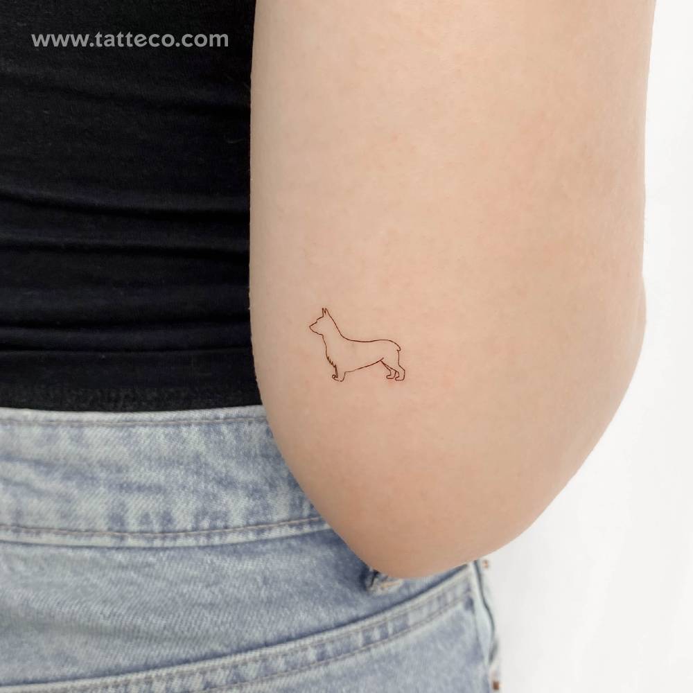 Corgi Temporary Tattoo