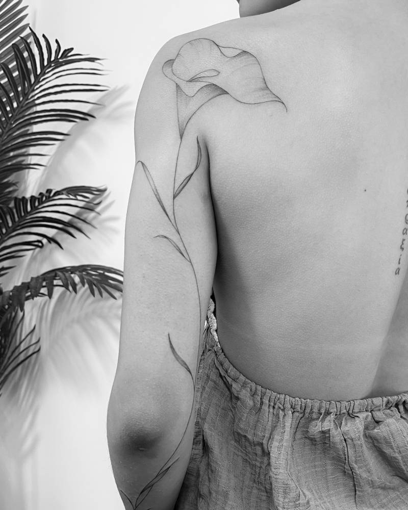 Calla lily flower tattoo located on the shoulder blade and tricep, illustrative style.