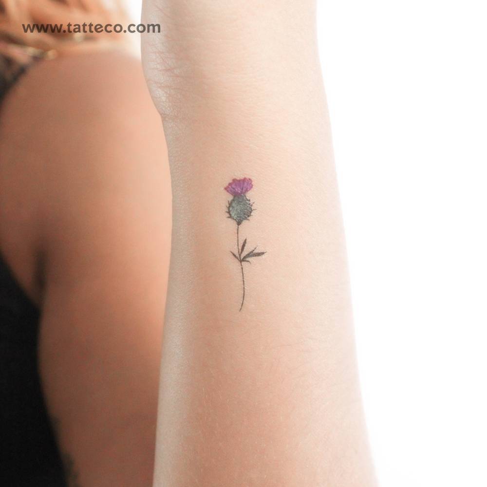 Thistle temporary tattoo located on the wrist.